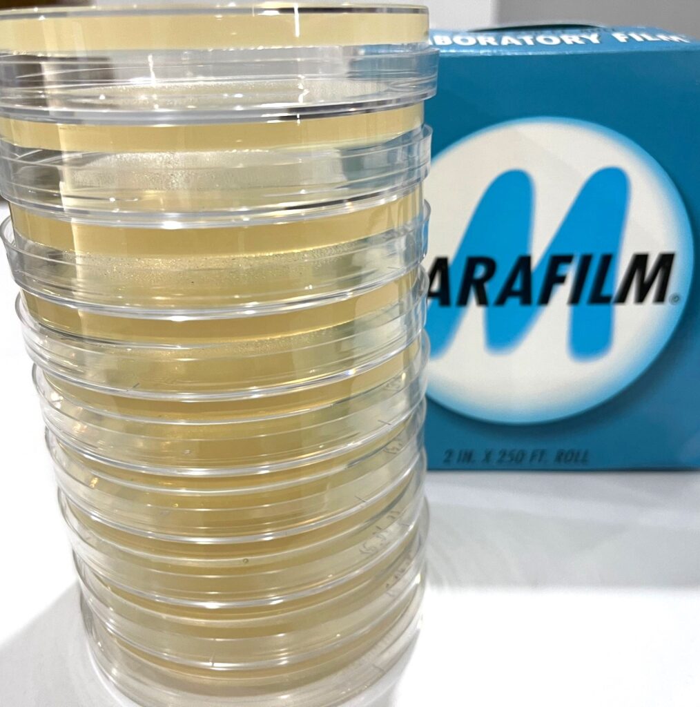 LB Agar Plates (10) – genexlabs